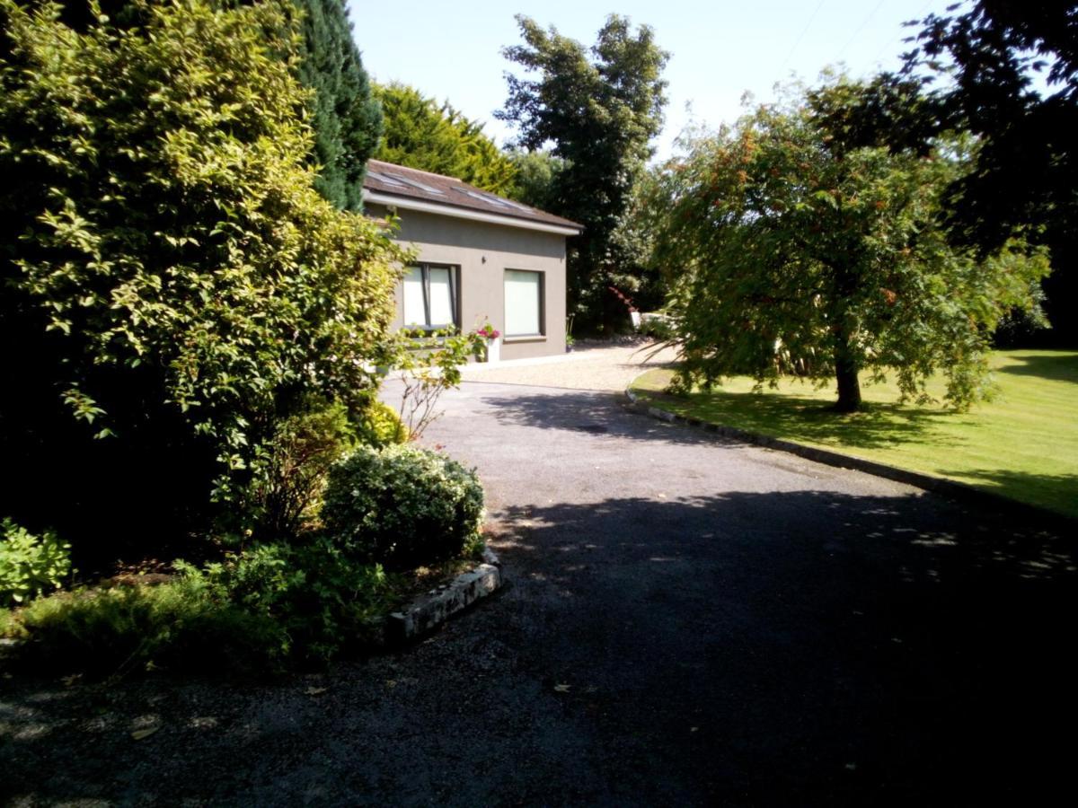 Spacious Contemporary Chalet Type Apartment. Galway Dış mekan fotoğraf