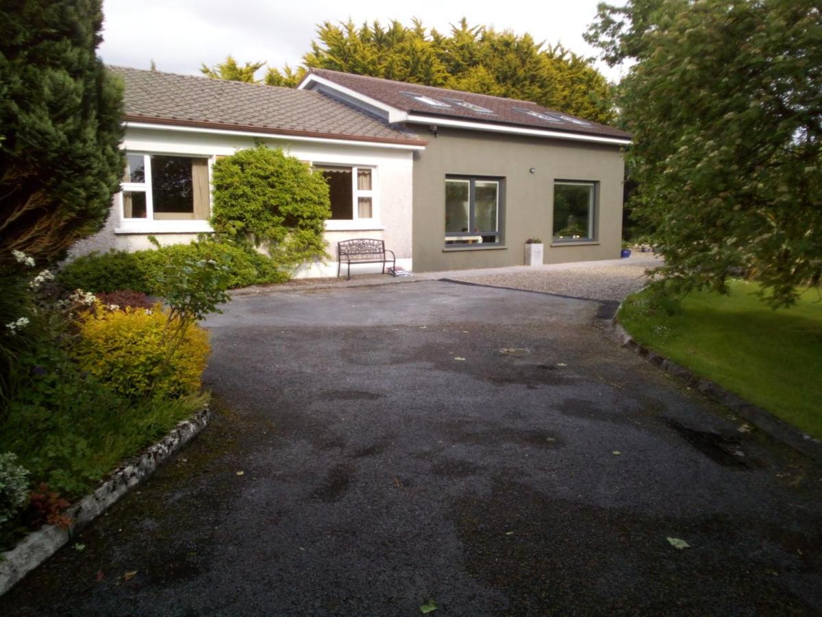 Spacious Contemporary Chalet Type Apartment. Galway Dış mekan fotoğraf