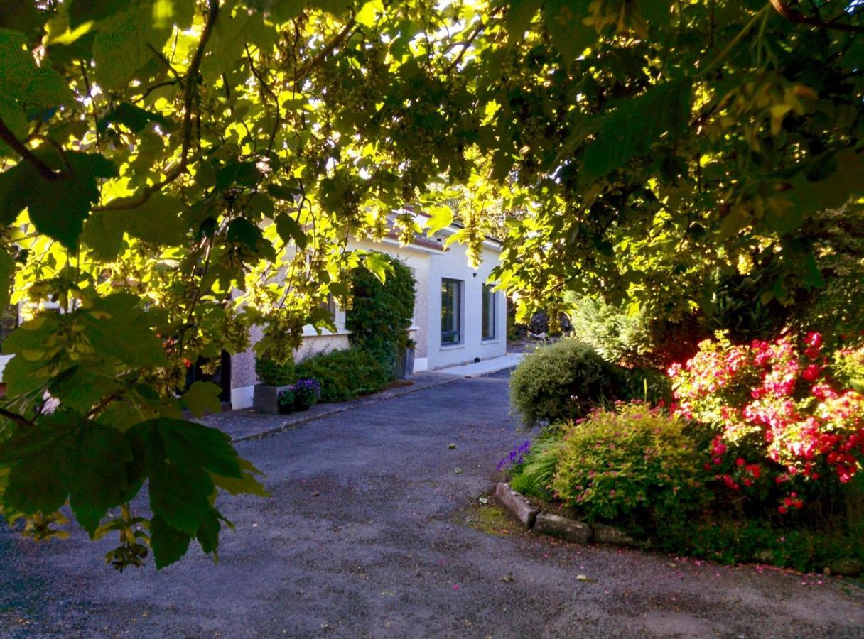 Spacious Contemporary Chalet Type Apartment. Galway Dış mekan fotoğraf