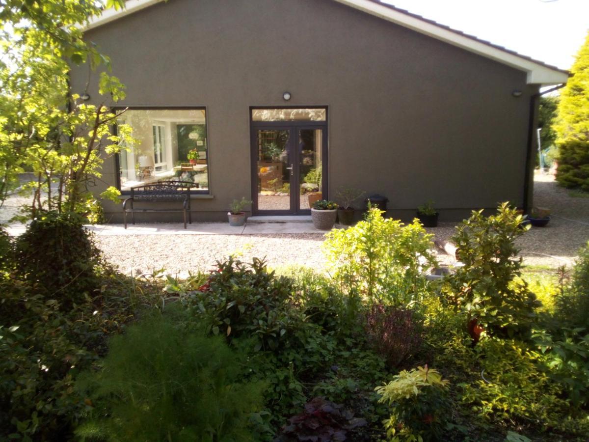 Spacious Contemporary Chalet Type Apartment. Galway Dış mekan fotoğraf