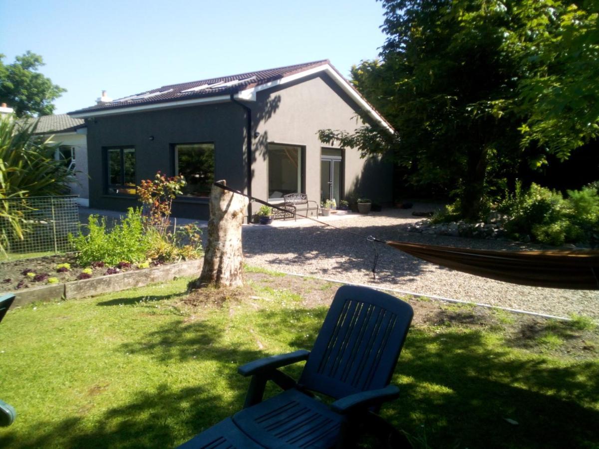 Spacious Contemporary Chalet Type Apartment. Galway Dış mekan fotoğraf