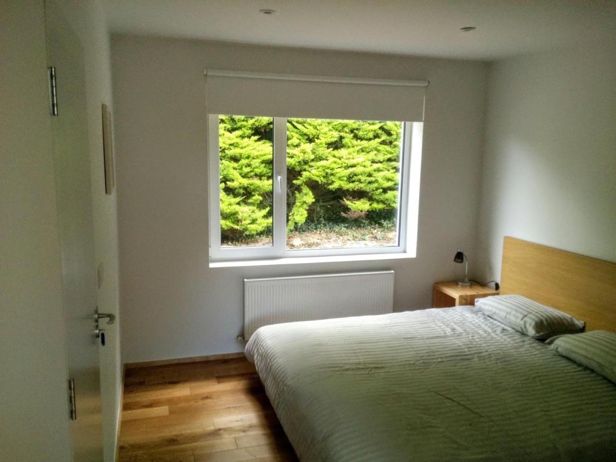 Spacious Contemporary Chalet Type Apartment. Galway Dış mekan fotoğraf