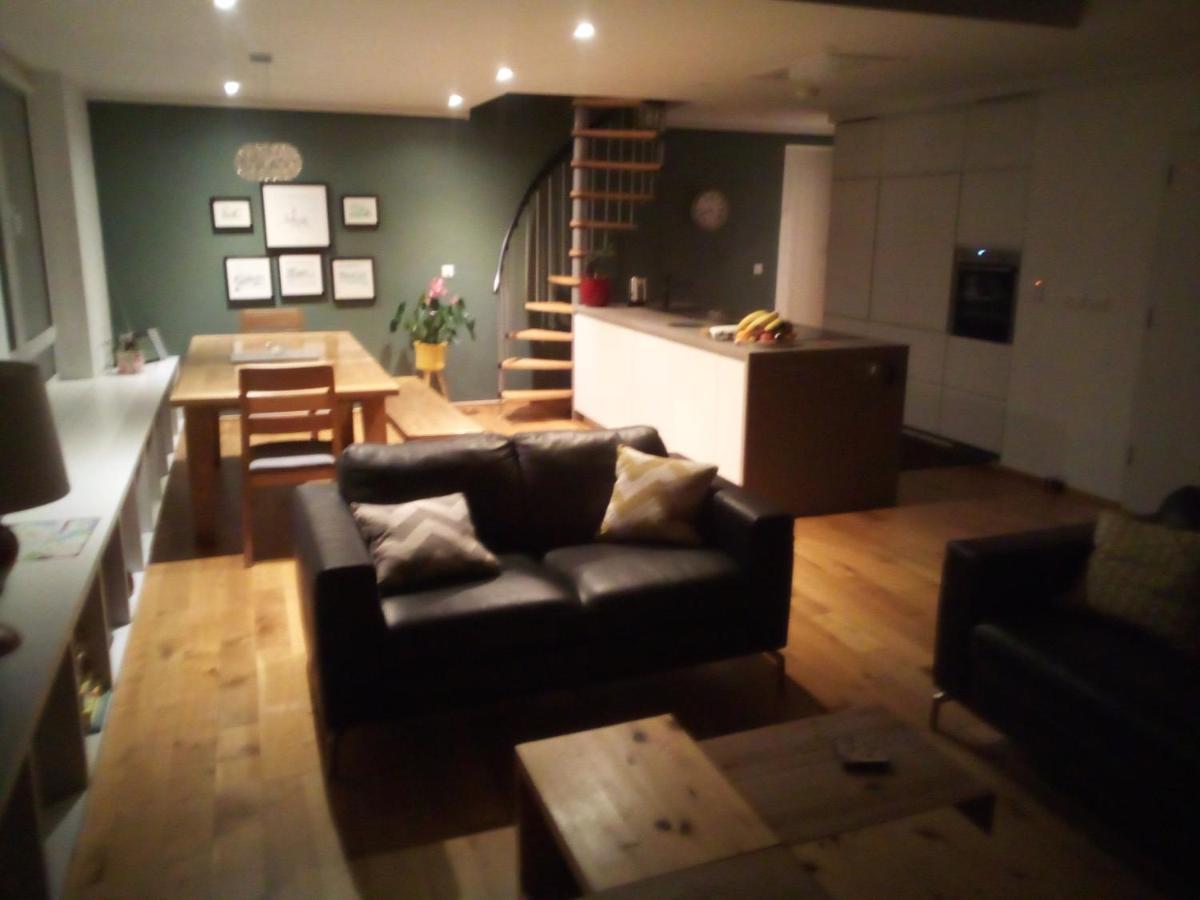 Spacious Contemporary Chalet Type Apartment. Galway Dış mekan fotoğraf