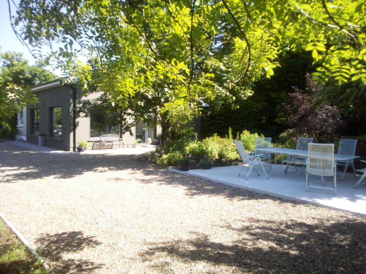 Spacious Contemporary Chalet Type Apartment. Galway Dış mekan fotoğraf