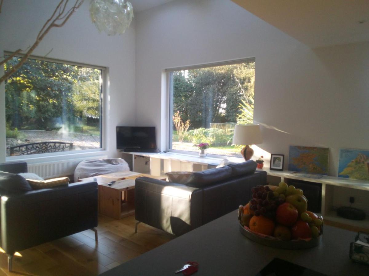 Spacious Contemporary Chalet Type Apartment. Galway Dış mekan fotoğraf